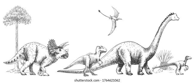 Vector horizontal illustration of dinosaurs and trees. Tyrannosaurus, triceratops, brachiosaurus