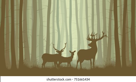 Vector horizontal illustration inside misty coniferous forest with family deer.