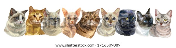 さまざまな猫を持つベクター横イラストは 連続して立つポートレートを生み出します リアルなスタイルの猫のベクタービンテージイラスト デザイン カード タトゥー用の画像 ストックイラスト のベクター画像素材 ロイヤリティフリー