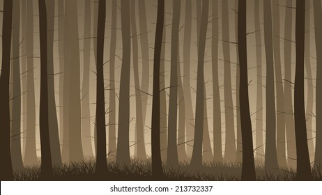 Vector horizontal illustration of misty coniferous forest with grass.