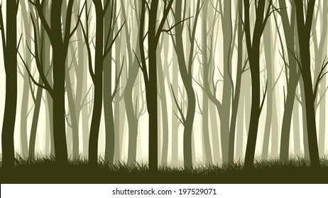 Vector horizontal illustration of misty forest with trees.