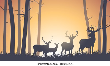 Vector horizontal illustration of wild deer in forest sunset.