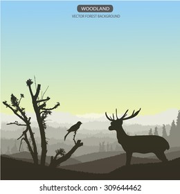 Vector horizontal illustration of wild deer in forest sunset.