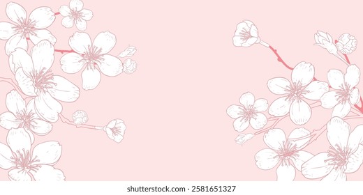 Vector horizontal pink background with line art of sakura flowers. Hand drawn cherry branches. Vector illustration.