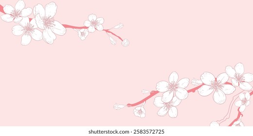 Vector horizontal pink background with line art of sakura flowers. Hand drawn cherry branches. Vector illustration.