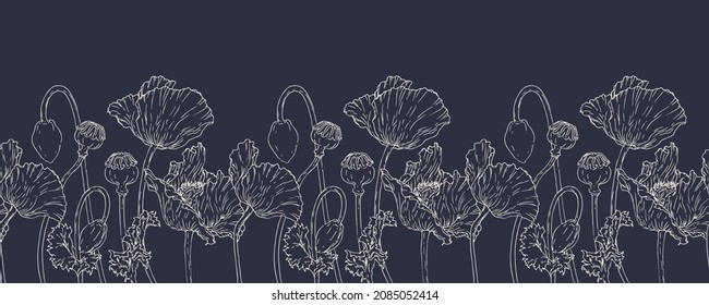 Vector horizontal seamless border with hand darwn poppy flower. Eps 10. Line-art botanical illustration. Floral backdrop