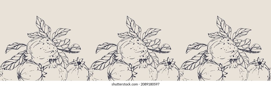Vector horizontal seamless border with hand darwn pomegranates. Eps 10. Line-art botanical illustration. Fruits backdrop