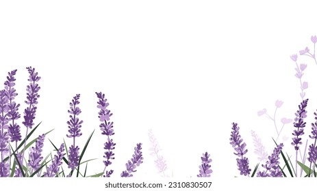 Borde transparente horizontal vectorial con ornamento de lavanda