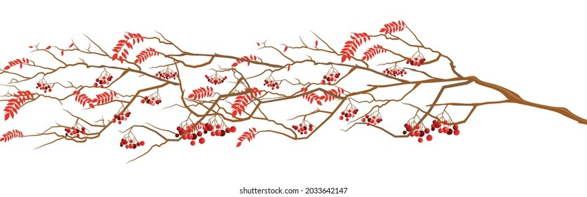 Vector horizontal seamless border with orange and brown autumn leaves and rowanberries