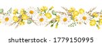 Vector horizontal seamless border with white daisies and yellow wild flowers and ears of wheat. 