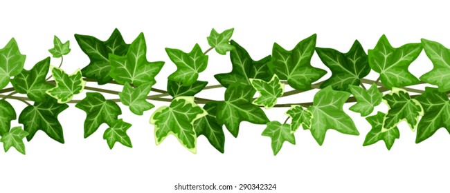 Vector horizontal seamless garland with green ivy leaves on a white background.