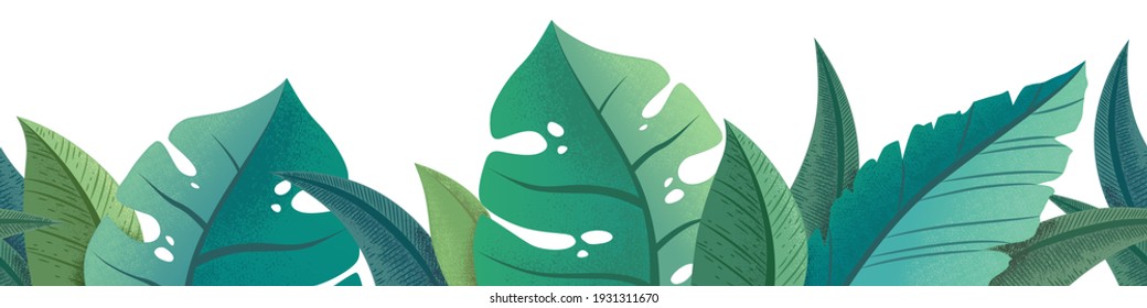 Vector horizontal seamless pattern with green trendy exotic palm and monstera leaves isolated on white background. Design for print, fabric, wallpaper, card, textile