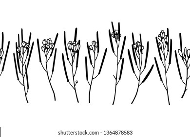 Vector horizontal seamless pattern with hand drawn hairy bitter-cross. Beautiful floral design elements, ink drawing, perfect for prints and patterns