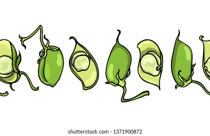 Vector horizontal seamless pattern with hand drawn chickpea pods. Beautiful food design elements, ink drawing, perfect for prints and patterns