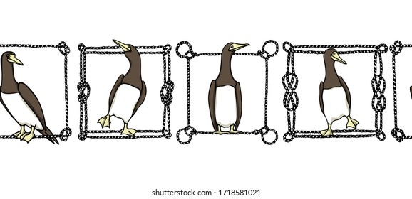 Vector horizontal seamless pattern with hand drawn cute Brown Boobies in nautical rope frames. Ink drawing, beautiful animal and nautical design elements. Perfect for prints and patterns