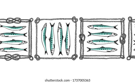 Vector horizontal seamless pattern with hand drawn sardines in rope frames. Advertising, menu or packaging cool design elements, perfect for prints and patterns