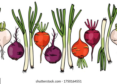 Vector horizontal seamless pattern with hand drawn colorful beets and spring onions. Beautiful food design elements, green vegetables illustration. Perfect for prints and patterns