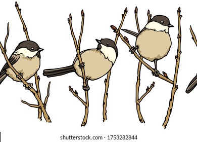 Vector horizontal seamless pattern with hand drawn Willow Tits sitting on a tree branches. Ink drawing, beautiful animal design elements. Perfect for prints and patterns