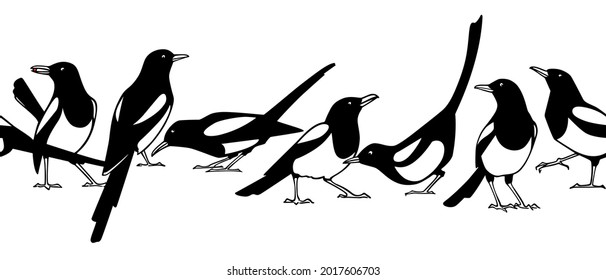 Vector horizontal seamless pattern with hand drawn cute Magpies in different postures. Ink drawing, graphic style. Beautiful animal design elements. Perfect for prints and patterns