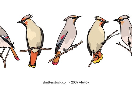 Vector horizontal seamless pattern with hand drawn cute Waxwings sitting on tree branches. Ink drawing, graphic style. Beautiful animal design elements, perfect for prints and patterns