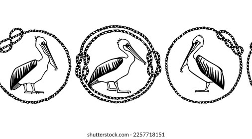 Patrón horizontal sin fisuras vectorial con pelícanos grácidos dibujados a mano en los marcos de cuerda náutica. Dibujo de tinta, estilo gráfico decorativo. Bellos elementos de diseño animal, perfectos para impresiones y patrones