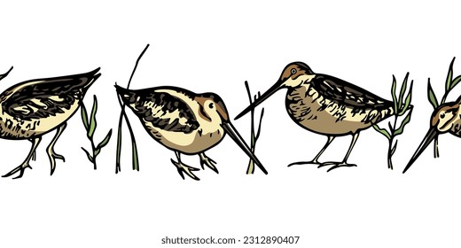 Vector horizontal seamless pattern with hand drawn sweet snipes in the grass. Ink drawing, decorative graphic style. Beautiful animal design elements, perfect for prints and patterns