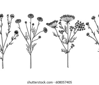 Vector horizontal seamless pattern with hand drawn wildflowers twigs. Beautiful ink drawing, vintage style.