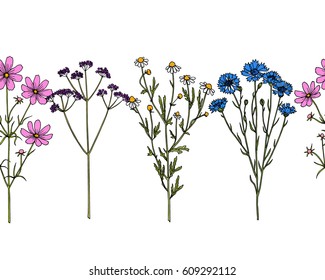 Vector horizontal seamless pattern with hand drawn wildflowers twigs. Beautiful ink drawing, vintage style.