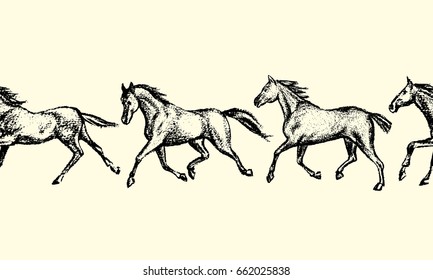 Vector horizontal seamless pattern with hand drawn running thoroughbred horses. Beautiful design elements, charcoal drawing