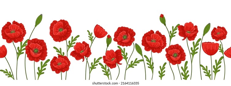 Vector horizontal seamless pattern with red poppies on a white background. Banner with beautiful summer flowers.	