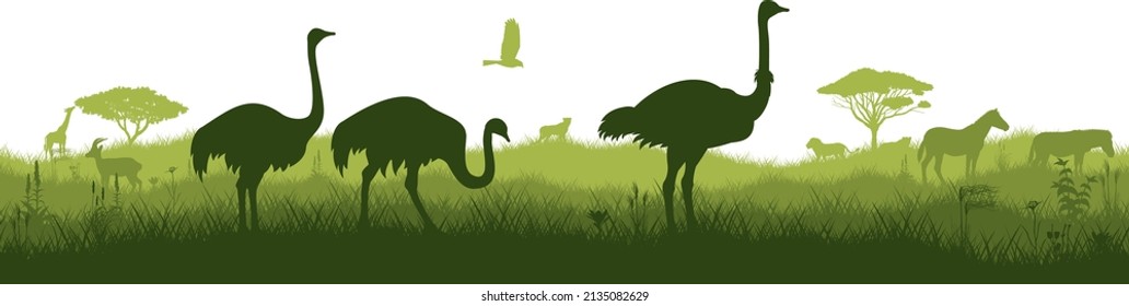 Vector horizontal seamless tropical african savannah with ostrich family, zebra, lions, cheetah and giraffe