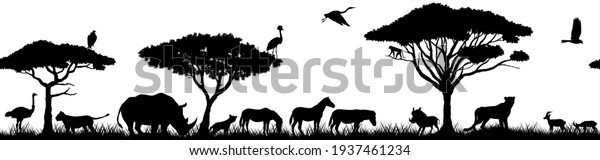 Tropical African savannah with lions, zebra, vulture, heron, hyena, common warthog, rhinoceros, cheetah, gazelle, monkey, ostrich and crowned crane.