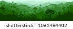 Vector horizontal seamless tropical rainforest Jungle background