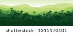 Vector horizontal seamless tropical rainforest Jungle forest background