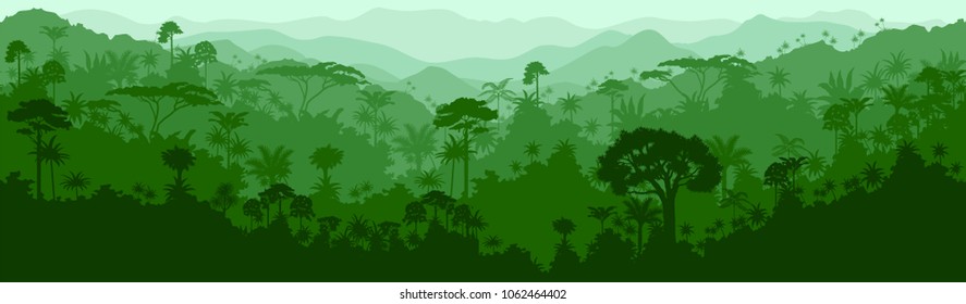Vector horizontal seamless tropical rainforest Jungle background - Shutterstock ID 1062464402