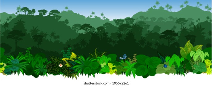 Vector Horizontal Seamless Tropical Rainforest Jungle Background