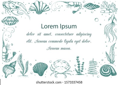 Vector horizontal seashells and marine life banner with place for text. vintage background with engraved seaweeds, sea animals. frame with underwater natural hand drawn elements. card template design.