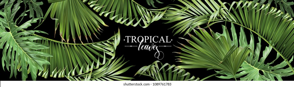 Vector horizontal tropical leaves banner on black background. Exotic botanical design for cosmetics, spa, perfume, health care products, aroma, wedding invitation. Best as web banner