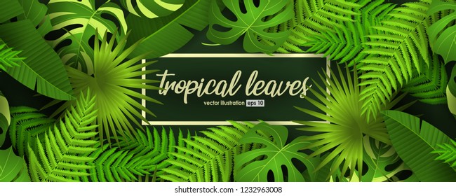 Vector horizontal tropical leaves banners on green background. Exotic botanical design for cosmetics, spa, perfume, health care products, aroma, wedding invitation. Best as web banner.