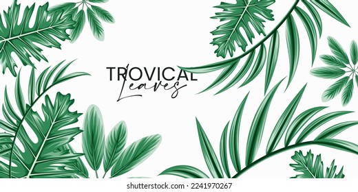 Vector horizontal tropical leaves banners on white background. Exotic botanical design for cosmetics, spa, perfume, health care products, aroma, wedding invitation.