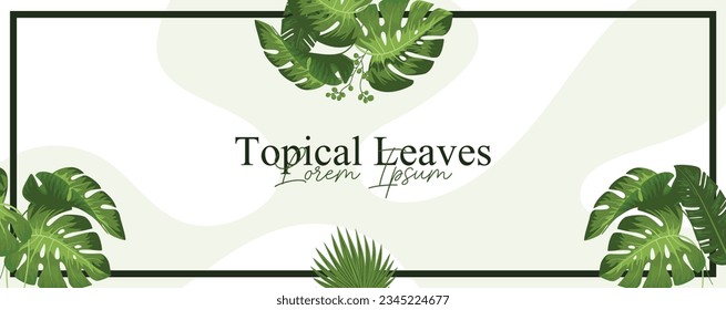 Pancartas horizontales de hojas tropicales vectoriales sobre fondo blanco. Diseño botánico exótico para cosméticos, spa, perfume, productos de salud, aroma, invitación a la boda. Mejor como banner web