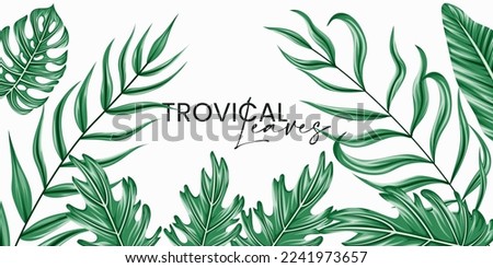 Vector horizontal tropical leaves banners on white background. Exotic botanical design for cosmetics, spa, perfume, health care products, aroma, wedding invitation.