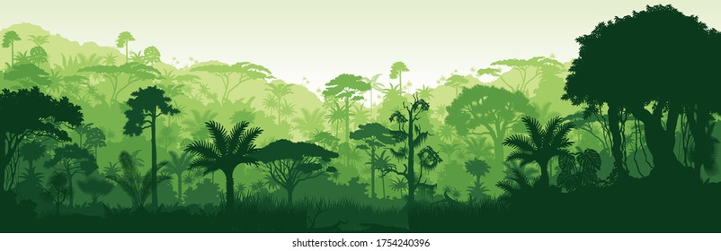 Vector horizontal tropical rainforest Jungle background