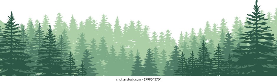 Vector horizontal  tropical rainforest Jungle background. illustration with high pines in fir trees. 