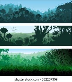 Vector horizontal tropical rainforest Jungle backgrounds