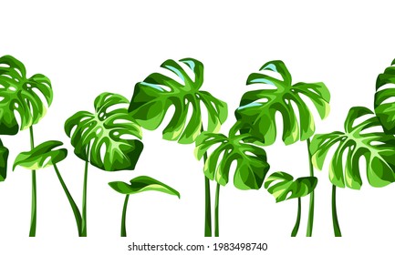 Vector horizontal tropical seamless border with green monstera leaves.