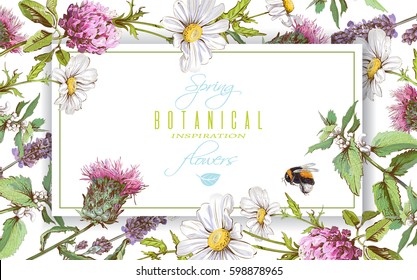 Vector horizontal wild flowers and herbs banner on white background. Design for herbal tea, natural cosmetics, honey, health care products, homeopathy, aromatherapy. With place for text
