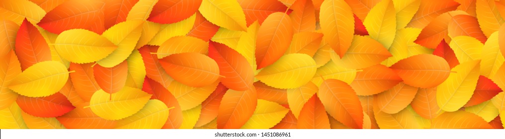 Vector horizontally seamless border with realistic colored fall leaves. Seasonal template with falling foliage for design of website headers and placards. Autumn background for flyers and banners.