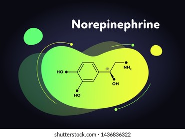 Vector hormones fluid moedrn banner. Norepinephrine structure in liquid gradient trendy shape on black. Hormone associated with adrenal response system. Design for education, presentation, poster.