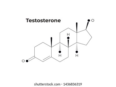 Vector hormones minimalistic banner template. Testosterone structure isolated on white background. Associated with aggression, sex, growth, reproduction. Design for education, presentation, poster.